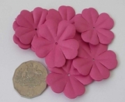 AS4E - 43mm Hot Pink Flower Petals 